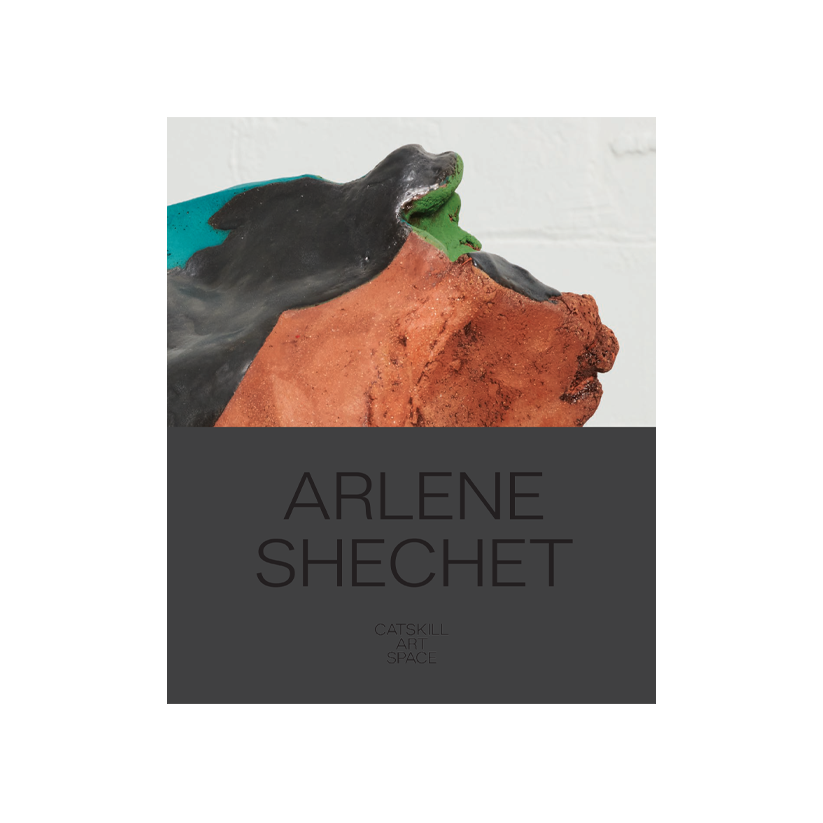 Arlene Shechet Catalogue